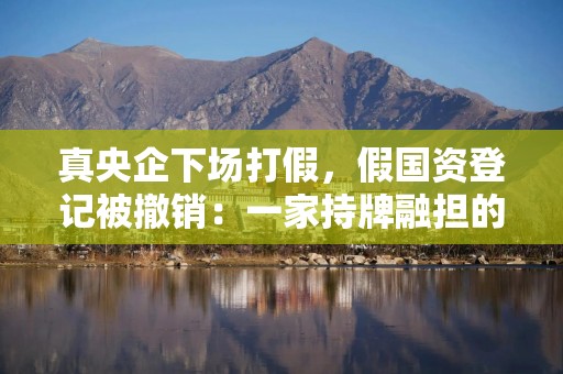 真央企下场打假，假国资登记被撤销：一家持牌融担的合作银行正“退潮”