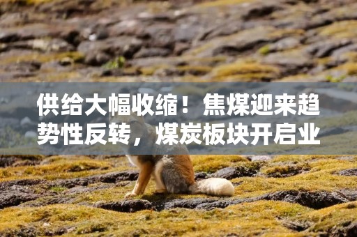 供给大幅收缩！焦煤迎来趋势性反转，煤炭板块开启业绩估值双击
