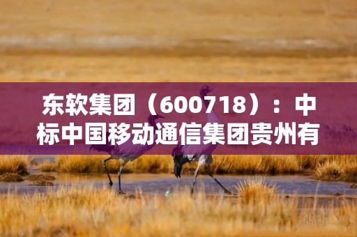 东软集团（600718）：中标中国移动通信集团贵州有限公司采购项目，中标金额为420.38万元