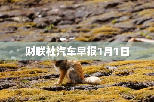 财联社汽车早报1月1日
