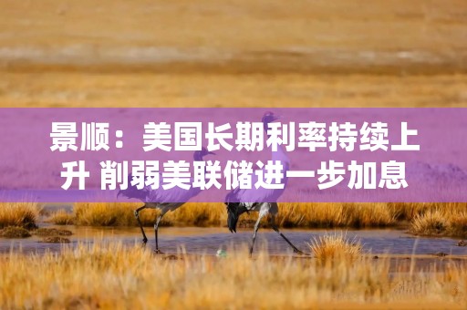 景顺：美国长期利率持续上升 削弱美联储进一步加息必要性
