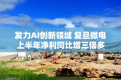 发力AI创新领域 复旦微电上半年净利同比增三倍多