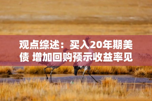 观点综述：买入20年期美债 增加回购预示收益率见顶 年轻人敌视AI