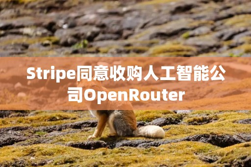 Stripe同意收购人工智能公司OpenRouter
