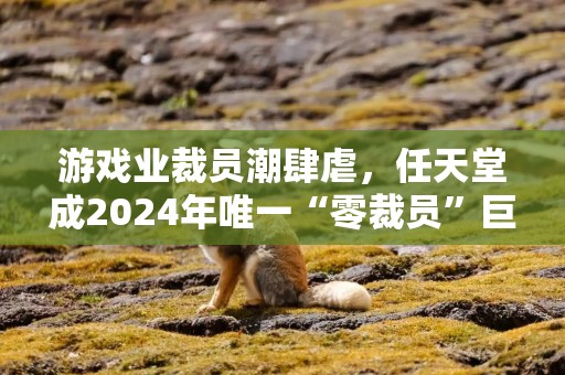 游戏业裁员潮肆虐，任天堂成2024年唯一“零裁员”巨头