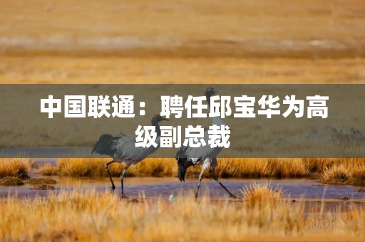 中国联通：聘任邱宝华为高级副总裁