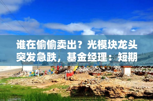 谁在偷偷卖出？光模块龙头突发急跌，基金经理：短期波动无碍长期逻辑，关注量增及估值优势方向