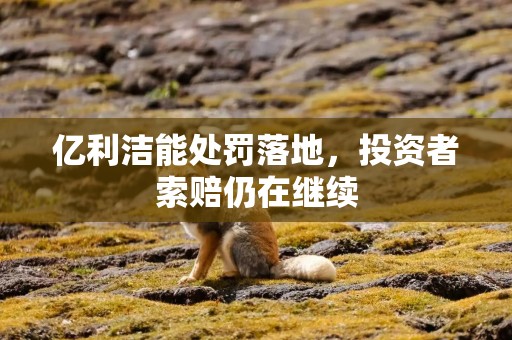 亿利洁能处罚落地，投资者索赔仍在继续
