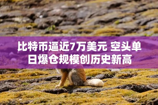 比特币逼近7万美元 空头单日爆仓规模创历史新高