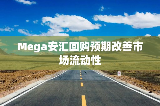 Mega安汇回购预期改善市场流动性