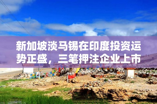 新加坡淡马锡在印度投资运势正盛，三笔押注企业上市后估值大幅飙升