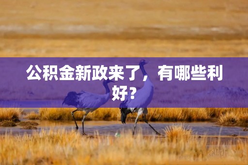 公积金新政来了，有哪些利好？