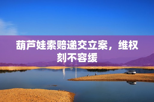 葫芦娃索赔递交立案，维权刻不容缓