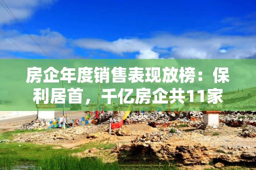 房企年度销售表现放榜：保利居首，千亿房企共11家