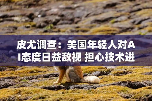 皮尤调查：美国年轻人对AI态度日益敌视 担心技术进步导致大规模失业