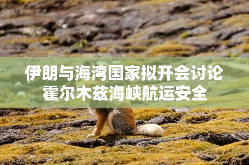 伊朗与海湾国家拟开会讨论霍尔木兹海峡航运安全