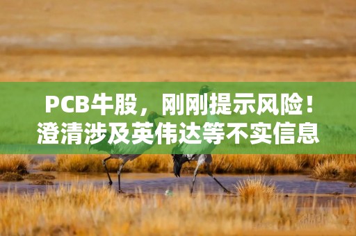 PCB牛股，刚刚提示风险！澄清涉及英伟达等不实信息