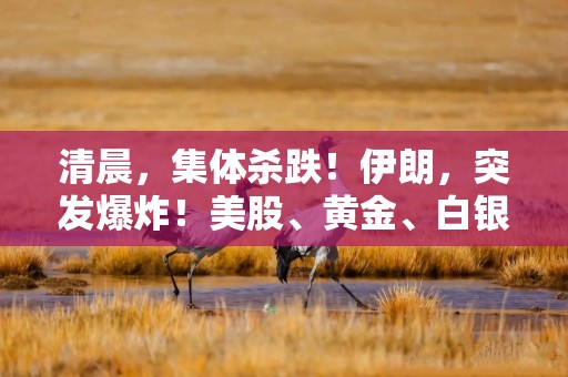 清晨，集体杀跌！伊朗，突发爆炸！美股、黄金、白银下挫