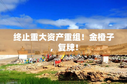 终止重大资产重组！金橙子，复牌！