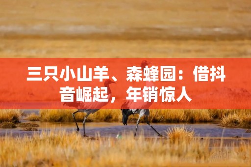 三只小山羊、森蜂园：借抖音崛起，年销惊人