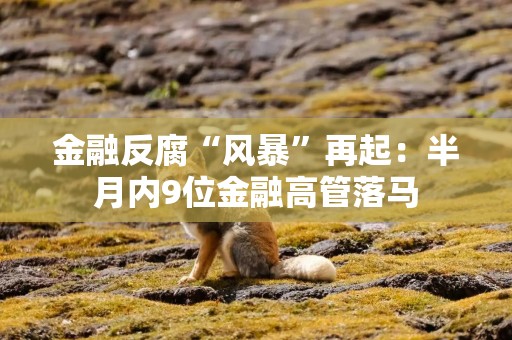 金融反腐“风暴”再起：半月内9位金融高管落马