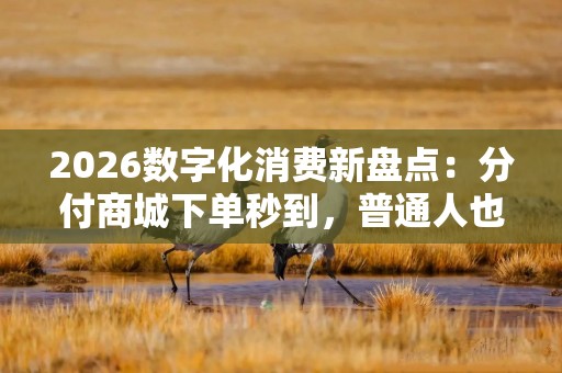 2026数字化消费新盘点：分付商城下单秒到，普通人也能玩转的高效攻略