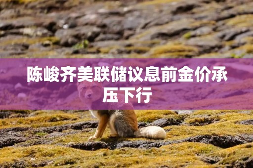 陈峻齐美联储议息前金价承压下行