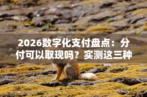 2026数字化支付盘点：分付可以取现吗？实测这三种方法或许能帮到你