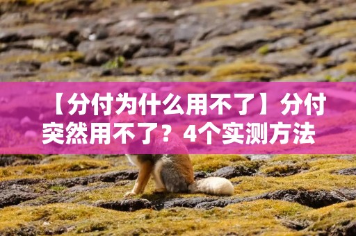 【分付为什么用不了】分付突然用不了？4个实测方法帮你排查，第3个很多人忽略