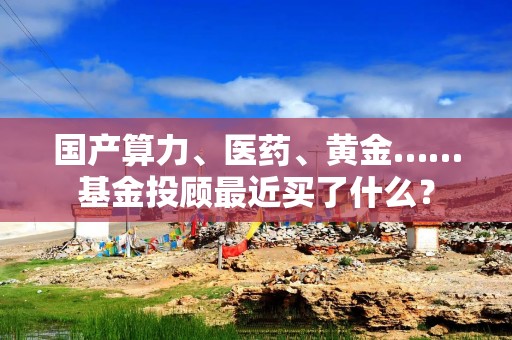 国产算力、医药、黄金……基金投顾最近买了什么？