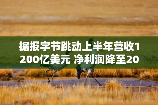 据报字节跳动上半年营收1200亿美元 净利润降至200亿美元