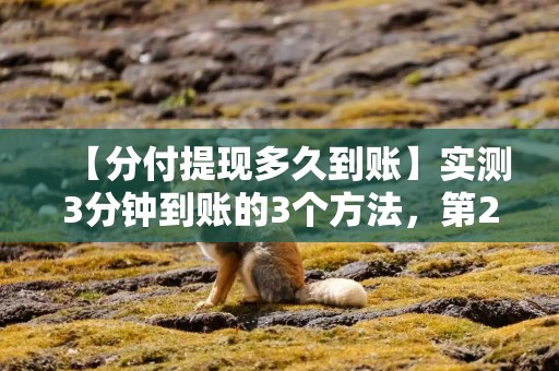 【分付提现多久到账】实测3分钟到账的3个方法，第2种最快