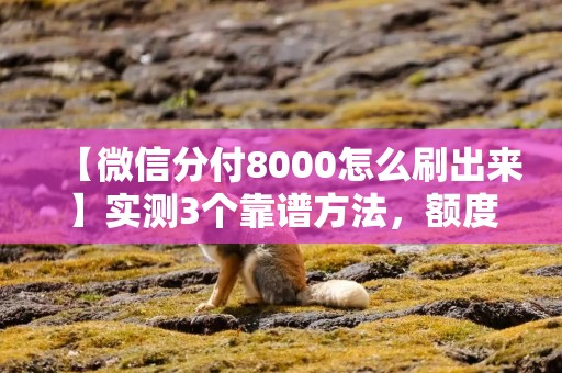 【微信分付8000怎么刷出来】实测3个靠谱方法，额度不用再闲置