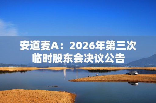 安道麦A：2026年第三次临时股东会决议公告