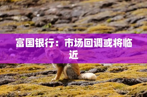 富国银行：市场回调或将临近