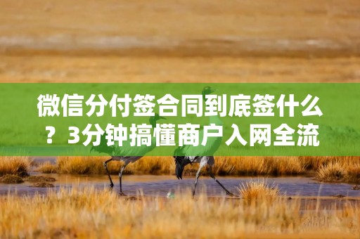 微信分付签合同到底签什么？3分钟搞懂商户入网全流程