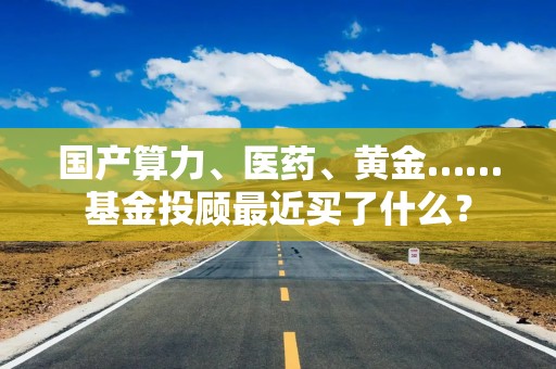 国产算力、医药、黄金……基金投顾最近买了什么？