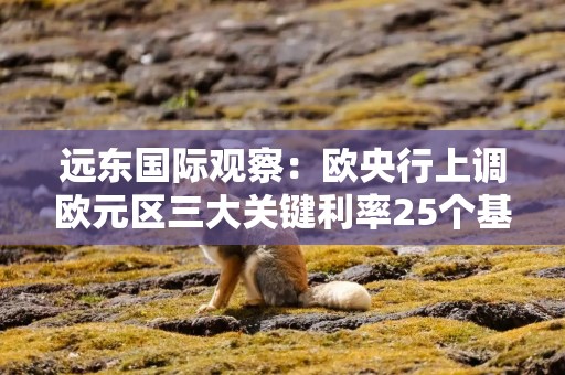 远东国际观察：欧央行上调欧元区三大关键利率25个基点