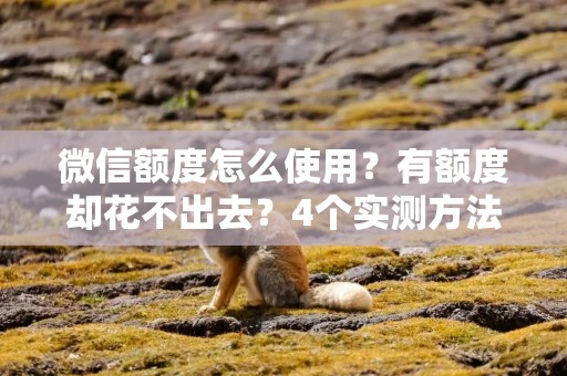 微信额度怎么使用？有额度却花不出去？4个实测方法，手把手教你用掉！