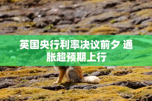 英国央行利率决议前夕 通胀超预期上行