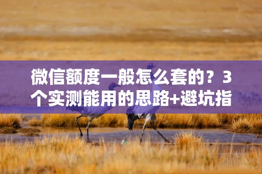 微信额度一般怎么套的？3个实测能用的思路+避坑指南（附合作商户名单）