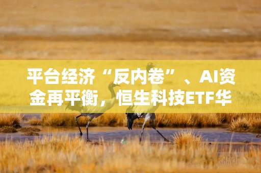平台经济“反内卷”、AI资金再平衡，恒生科技ETF华泰柏瑞（513130）标的指数估值低位区间受资金关注