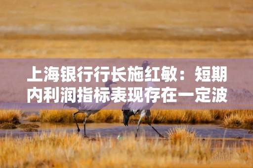 上海银行行长施红敏：短期内利润指标表现存在一定波动，但经营业绩长期向好的态势不会改变