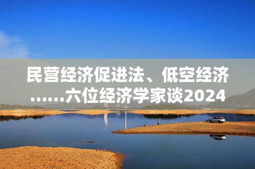 民营经济促进法、低空经济……六位经济学家谈2024中国经济热词