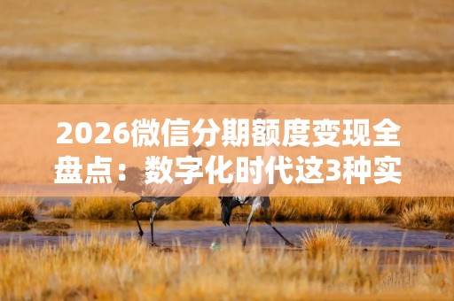 2026微信分期额度变现全盘点：数字化时代这3种实操路径值得收藏