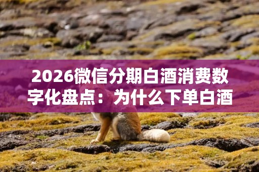 2026微信分期白酒消费数字化盘点：为什么下单白酒付款都爱用它？
