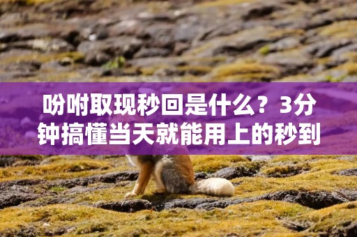 吩咐取现秒回是什么？3分钟搞懂当天就能用上的秒到账实操教程