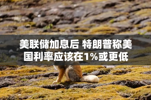美联储加息后 特朗普称美国利率应该在1%或更低