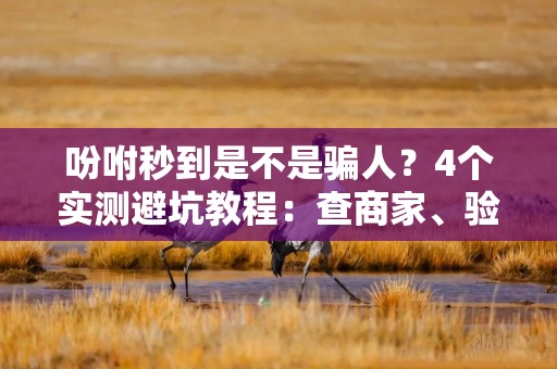 吩咐秒到是不是骗人？4个实测避坑教程：查商家、验提现、辨收费，先做小单再决定