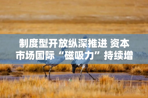 制度型开放纵深推进 资本市场国际“磁吸力”持续增强